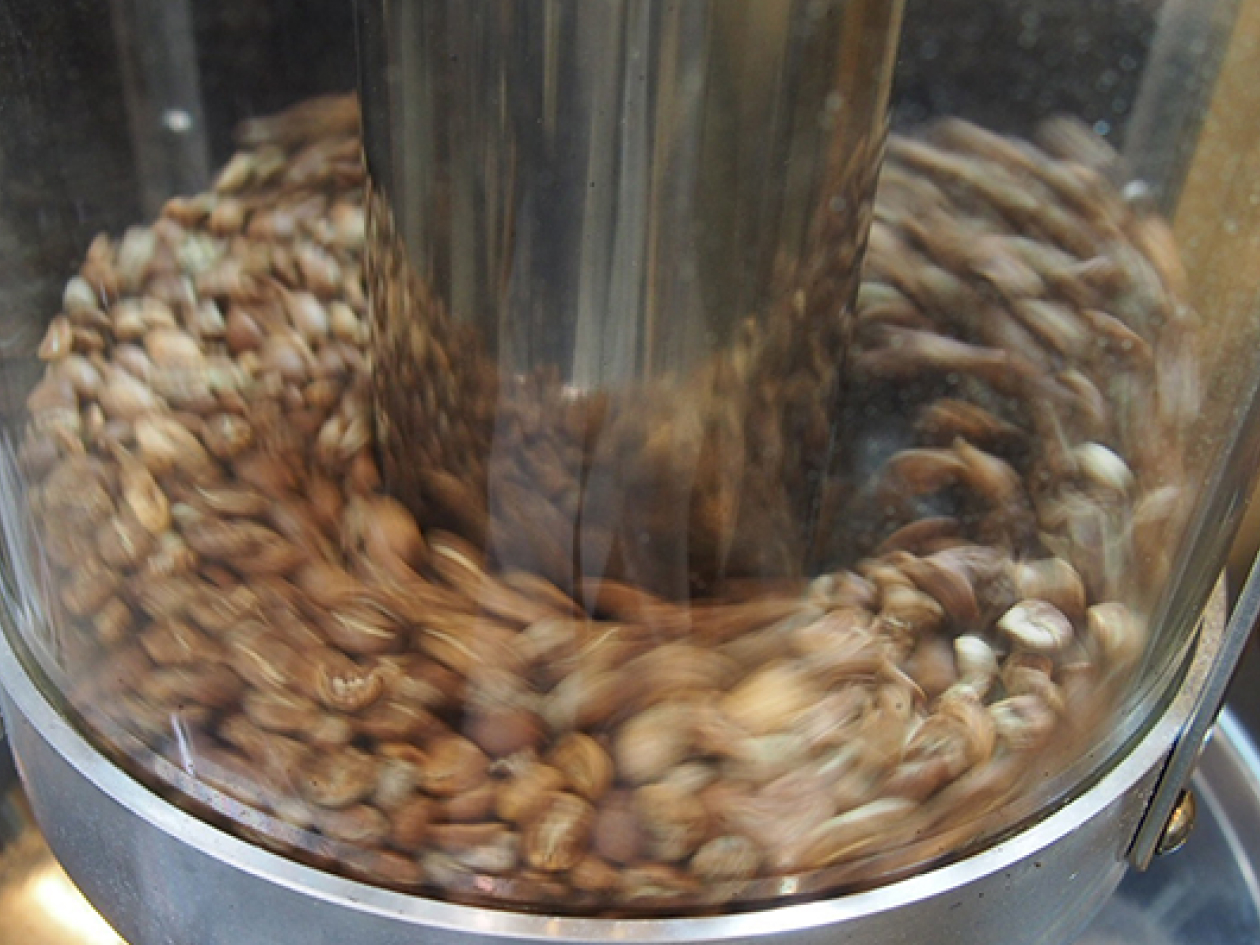 豆ごとに最適化するロースト技術：イメージ画像